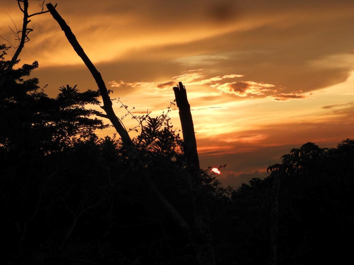 Moon Wonders Vacation House Monteverde Luaran gambar